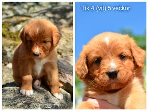 pizap.com15014205690001