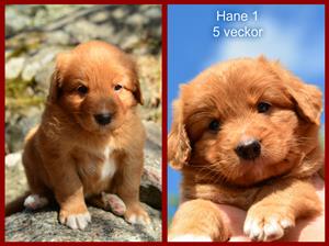 pizap.com15014216359291