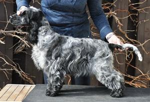 Ophelia 5,5m Ophelia 5,5m