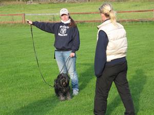 IMG_1077 IMG_1077