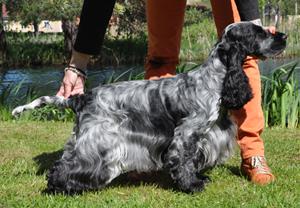 cc_477_ophelia_2ar-1 cc_477_ophelia_2ar-1