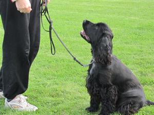 IMG_1065 IMG_1065