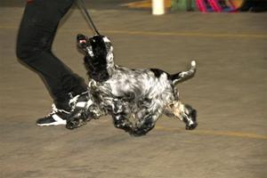 IMG_2566 IMG_2566
