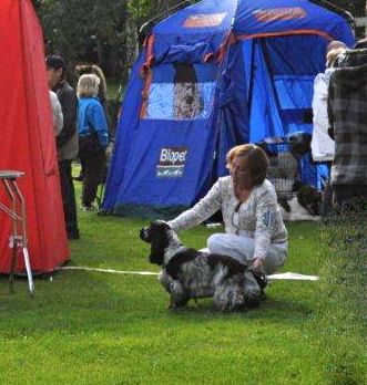DSC_0127 DSC_0127