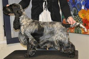 Ophelia 15m Ophelia 15m