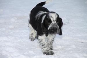 IMG_4304 IMG_4304