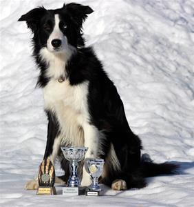 1959444_10201960561990404_1033795857_n 1959444_10201960561990404_1033795857_n