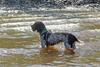 200627 Frida_1547