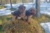 230505 Bonnie o Axa _075200