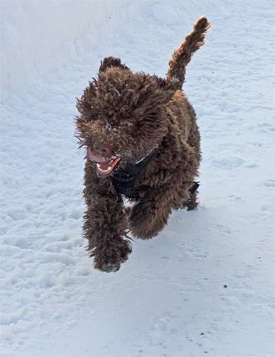 220303 Otis_8235