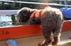 Mizzie_4758