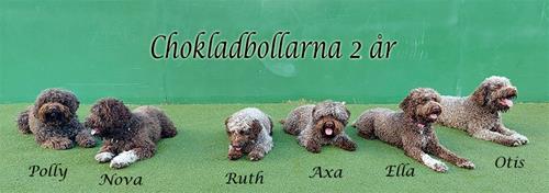 230719 2 år Chokladbollarna_183843