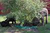 210830 Polly_4396