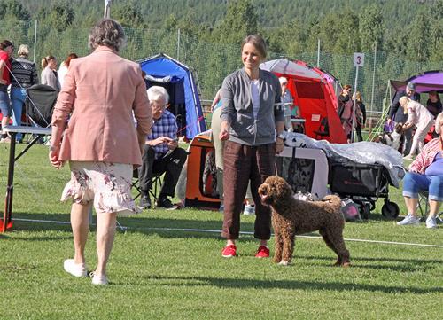 220813 Överkalix_9439 220813 Överkalix_9439