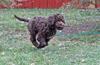 210924 hane 2_5234