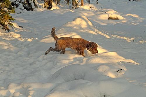 201024 Zelda_1777