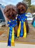 230429 Luleå_183435