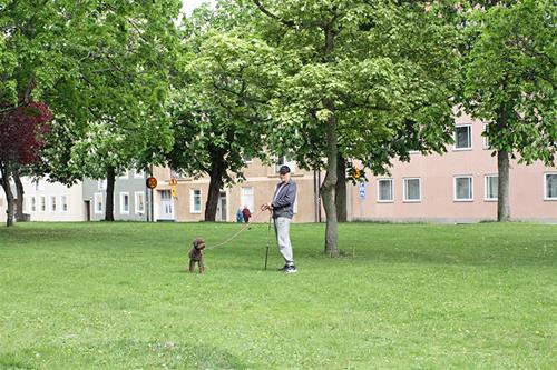 220525 Linköping 8942
