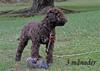 Mizzie_1544
