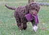 210924 hane 2_5213