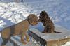 211023 Mizzie Axa_5925