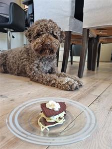 210415 Bruno 4 år