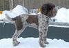 200319 Frida_1252