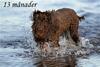 Mizzie_7398