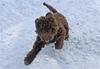 220303 Otis_8234