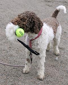 200927 Eris_1766