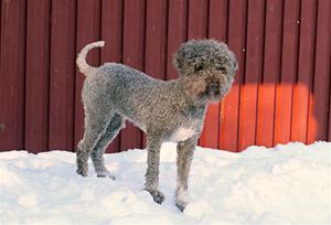 210227 Zelda_2858