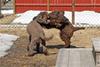 220506 Mizzie Axa_8824