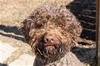 220506 Polly_8840