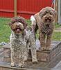 211001 Frida Mizzie_5654