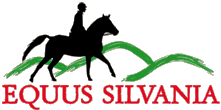 logo_equus_web