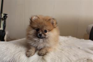 IMG_1677 IMG_1677