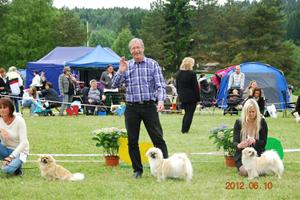 aapen_klasse_tisper[1]