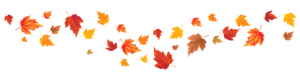 Fall_Leaves_PNG_Image