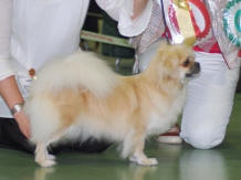 iben_nuch_small[1]