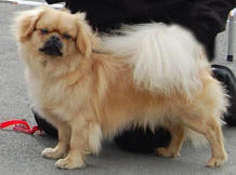 ozzy_small[1]