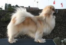 mariussandnes_small[1]