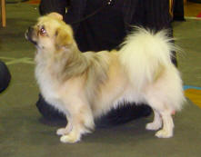Tex_small[1]