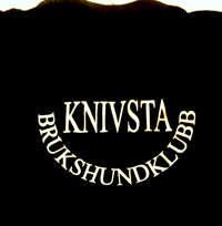 tshirt_svart_liten tshirt_svart_liten