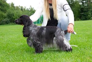 Abby 3 år