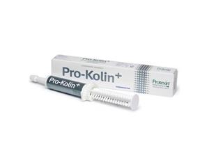 pro-kolin-oral-pasta pro-kolin-oral-pasta