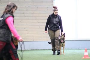 IMG_82411