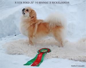 Nicky Champion ( fikk sitt 6 cert)