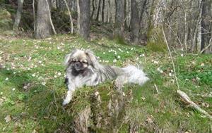 1mai-05 tur.JPG Kayla