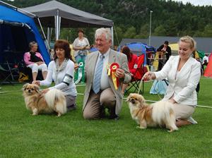 Utstilling Homme 13.og 12.07-2012 Asterix 2xBIM, 2xBIR vet, BIS2vet, BIS4vet