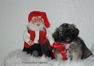 Santino jul 8 uker